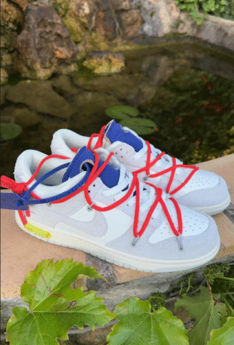 Off-White x Nike Dunk Low Sneakers photo review