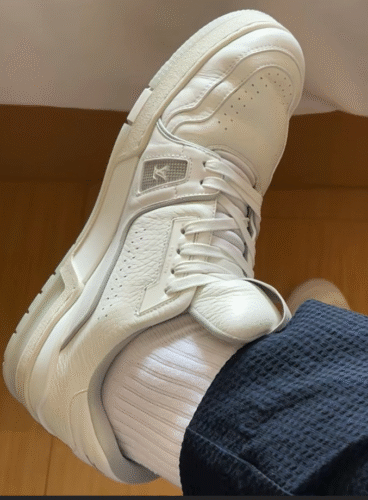LOUIS VUITTON TRAINER Sneakers photo review