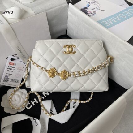 Chanel 23A Golden Little Lion Chain Bag AP3429, Top Quality Size: 19* 13*8cm