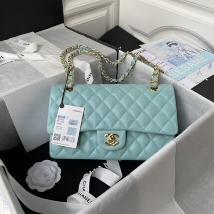 Chanel Classic Flap Bag A01113, Top QualityMedium Size: 23cm