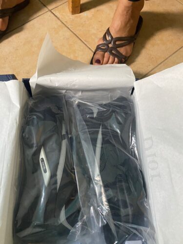 Dior B22 Casual shoes photo review