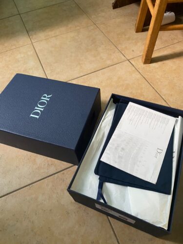 Dior B33 Thick-Soled Shoes photo review