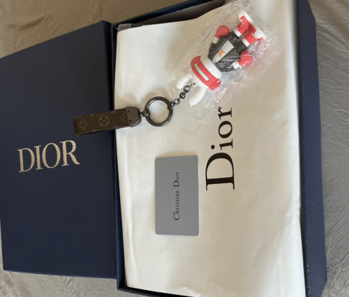 Dior B9S low-top sneakers photo review