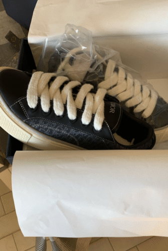 Dior B33 Leather Sneakers photo review