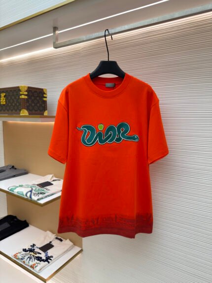 Dior Year of the Snake Collaboration Tie-Dye T-Shirt